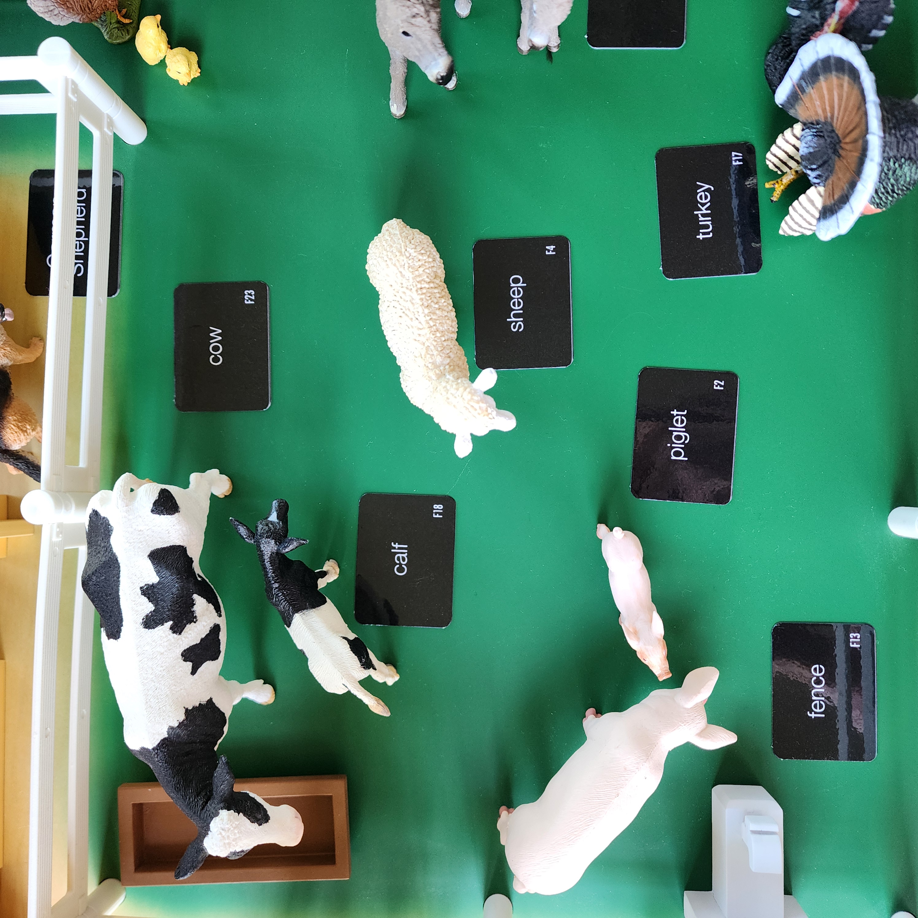 The Montessori Farm, Ages 3-6