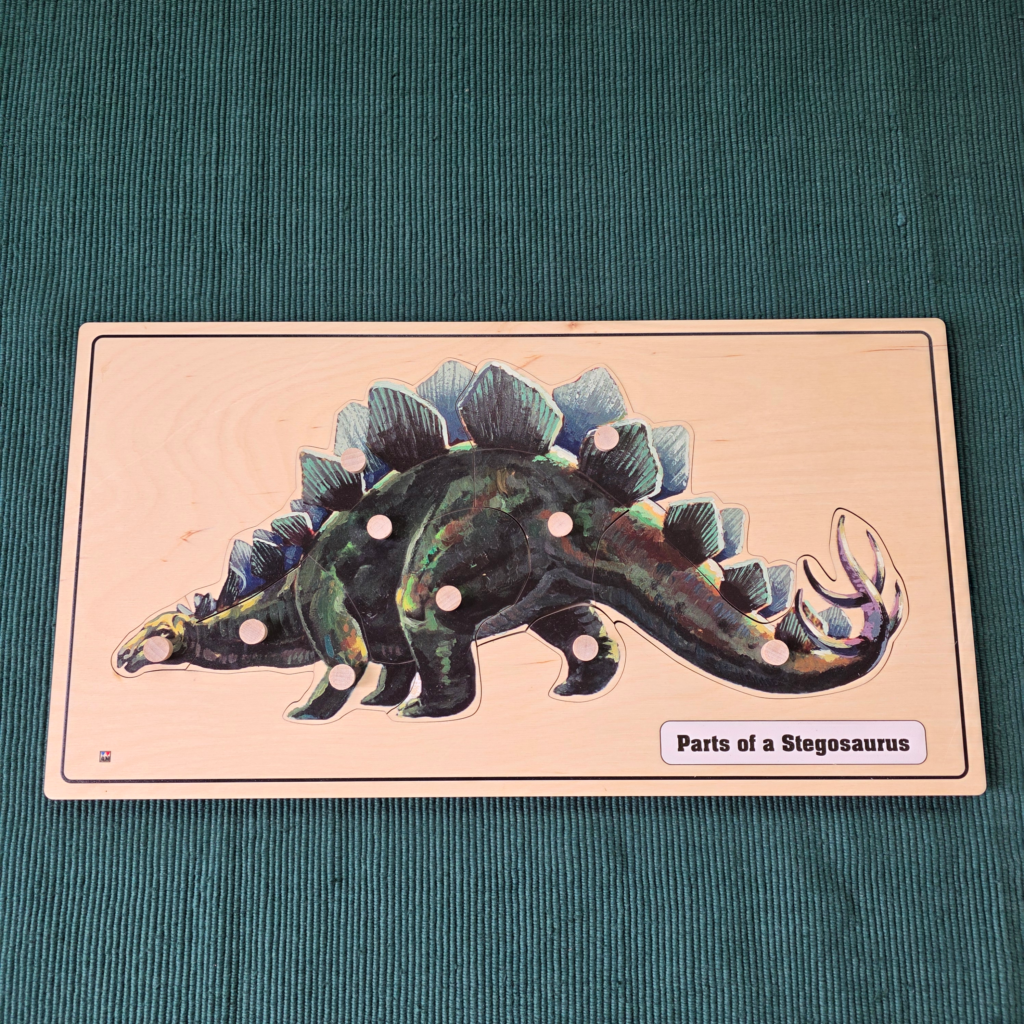 Alison's Montessori is committed to creating exclusive materials that preserve the integrity of the Montessori pedagogy. Today, we are excited to introduce you to our new sets of puzzles and nomenclature cards on Parts of a Stegosaurus and Parts of a T. Rex. These two dinosaurs have been carefully selected based on their divergent features: diet, stance, defense system, and sensory focus.